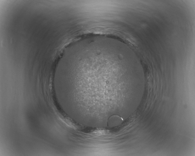 X0000054470499200508122007