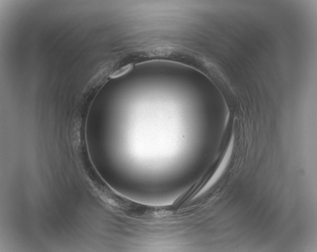 X0000054470501200508122007