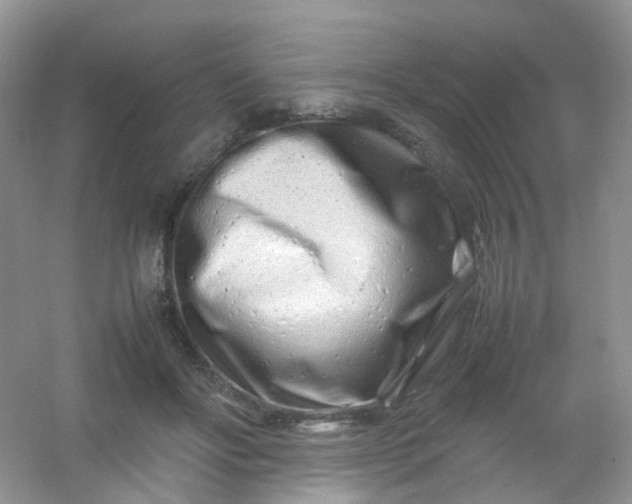 X0000054470502200508122007