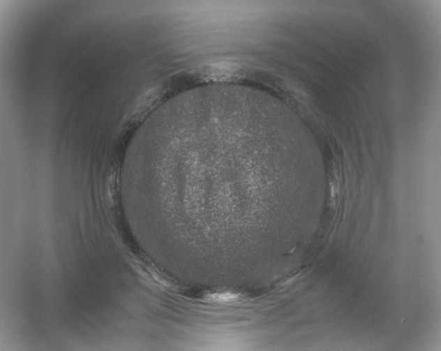 X0000054470503200508122007