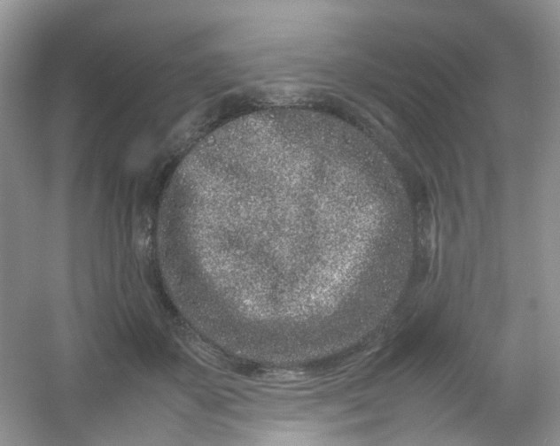 X0000054470507200508122007