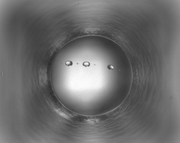 X0000054470508200508122007