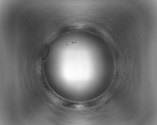 X0000054470509200508122007