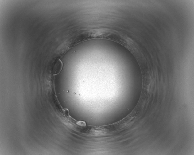 X0000054470510200508122007