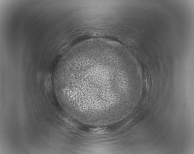 X0000054470511200508122007