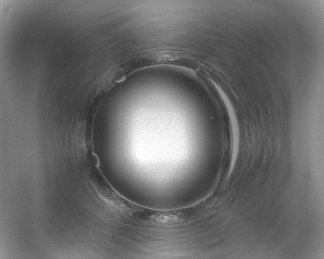 X0000054470512200508122007