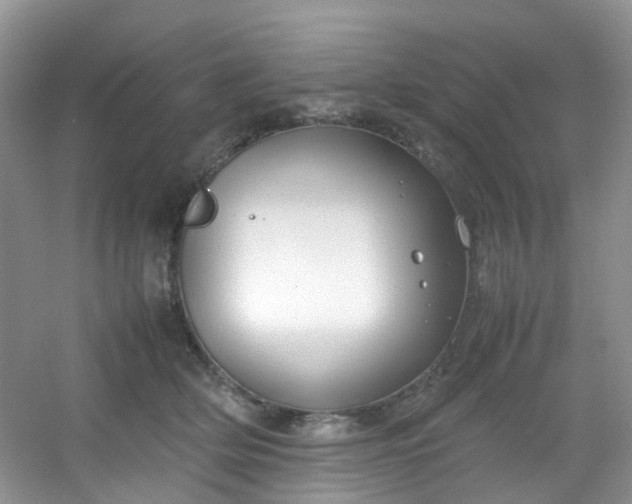 X0000054470514200508122007