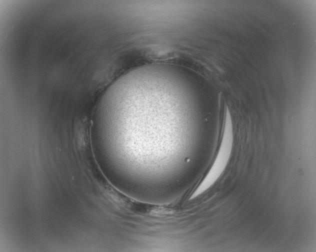 X0000054470515200508122007