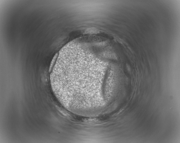 X0000054470517200508122007