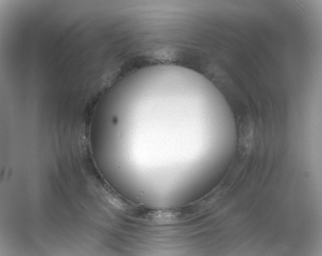 X0000054470518200508122007