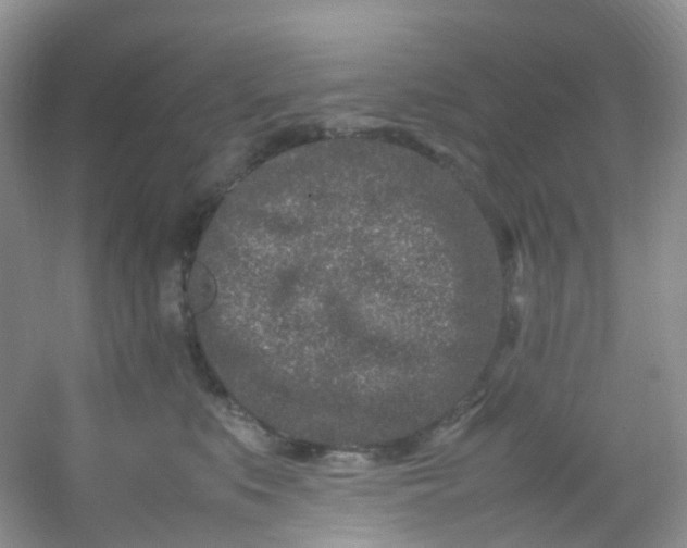 X0000054470519200508122007