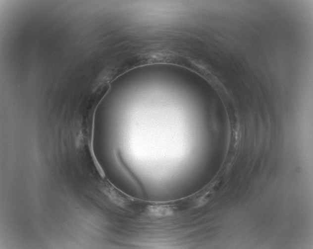 X0000054470520200508122007