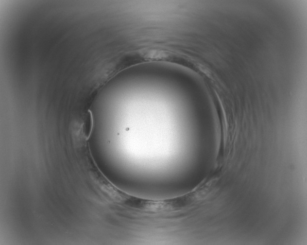 X0000054470521200508122007