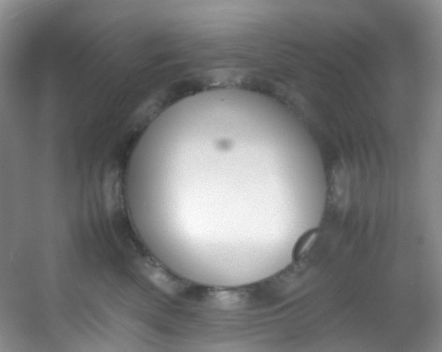 X0000054470522200508122007