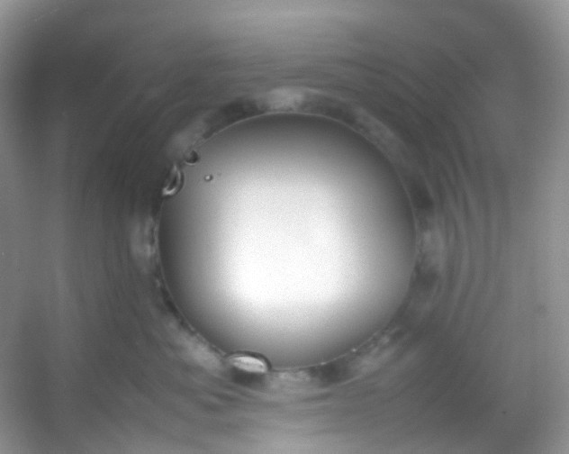 X0000054470525200508122007