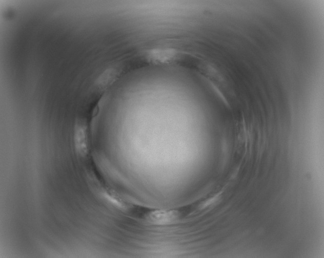 X0000054470526200508122007