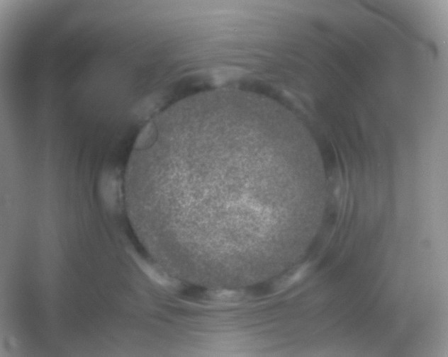 X0000054470527200508122007