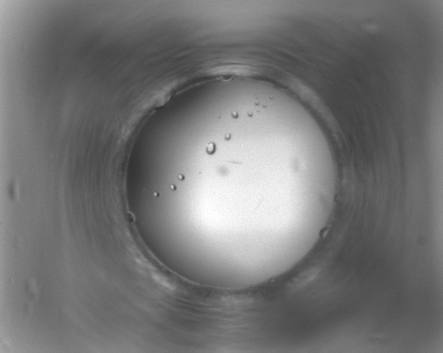 X0000054470529200508122006