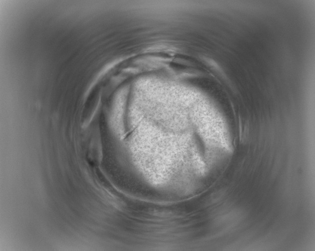 X0000054470531200508122006