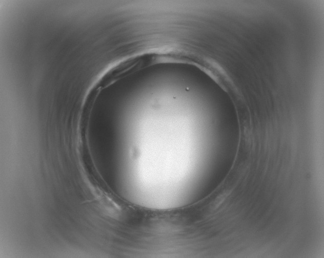 X0000054470532200508122006