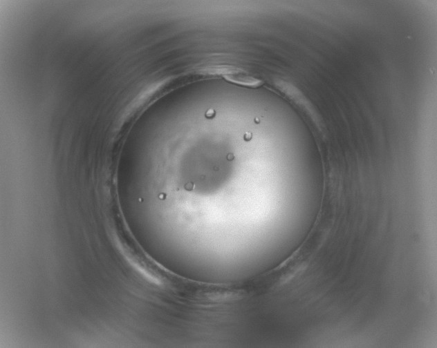 X0000054470533200508122006