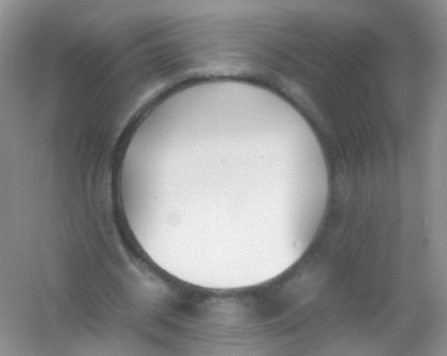 X0000054470534200508122006