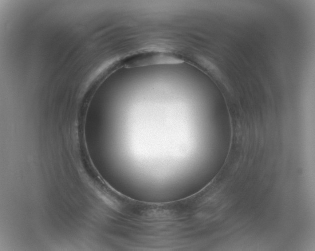 X0000054470535200508122006