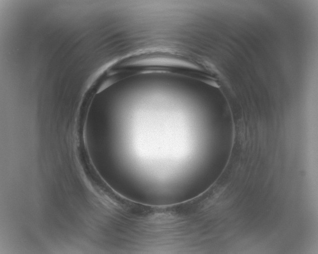 X0000054470536200508122006