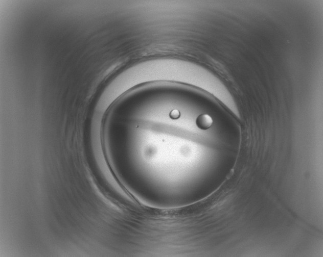 X0000054470538200508122006