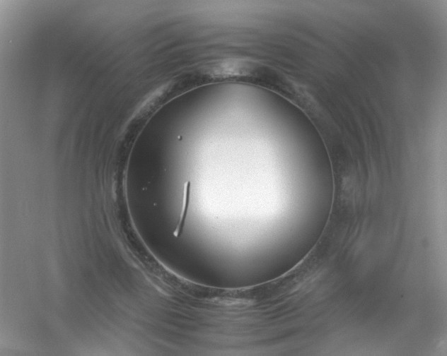 X0000054470539200508122006