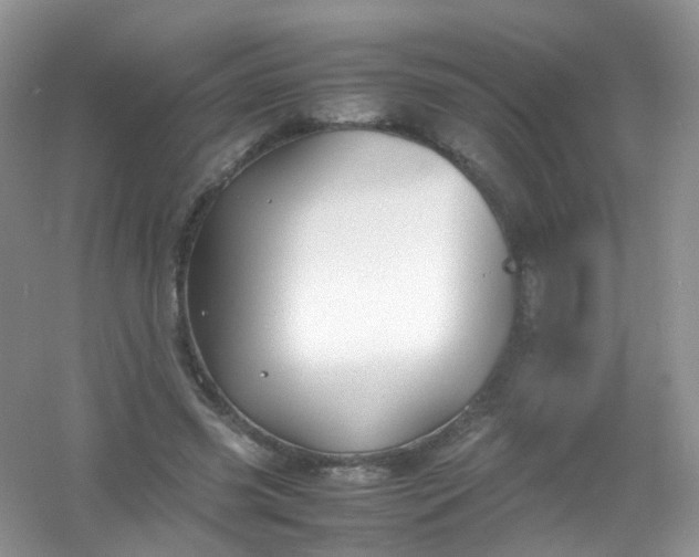 X0000054470541200508122006