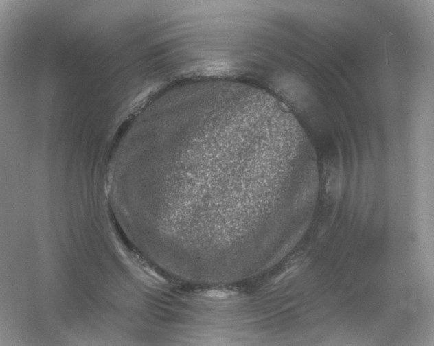 X0000054470542200508122006