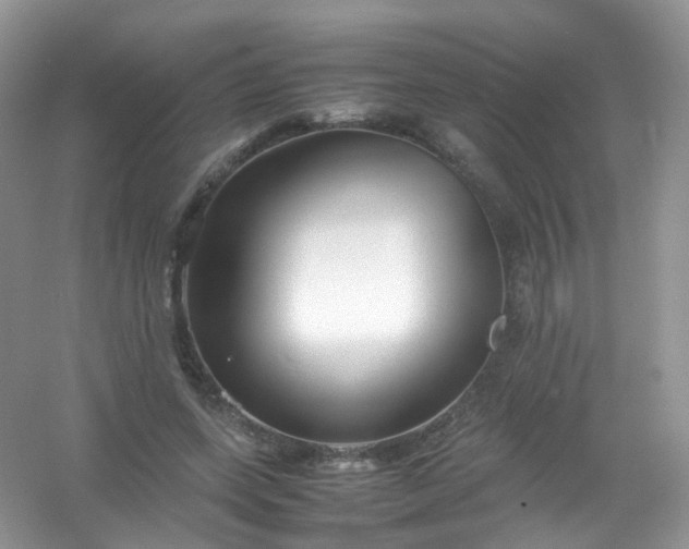 X0000054470543200508122006