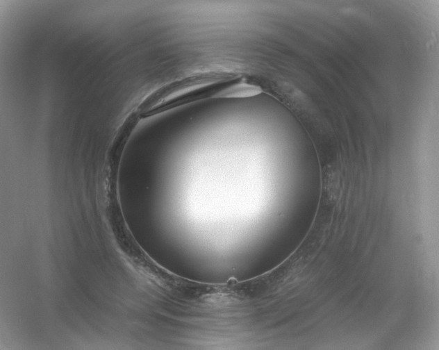 X0000054470544200508122006