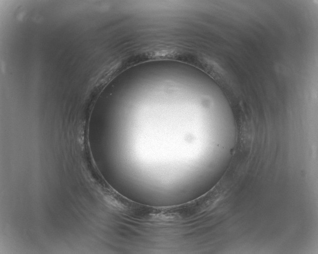 X0000054470545200508122006