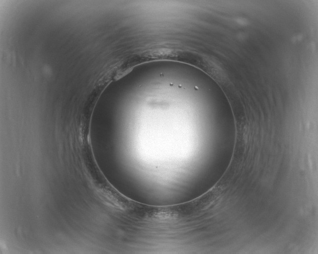 X0000054470546200508122006