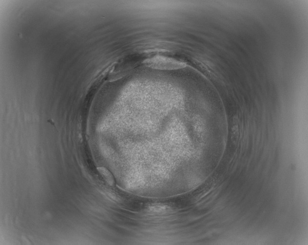 X0000054470547200508122006