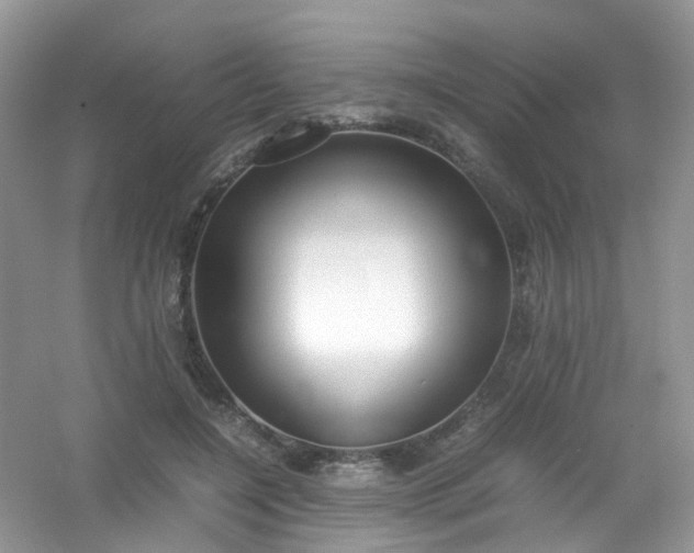 X0000054470548200508122006