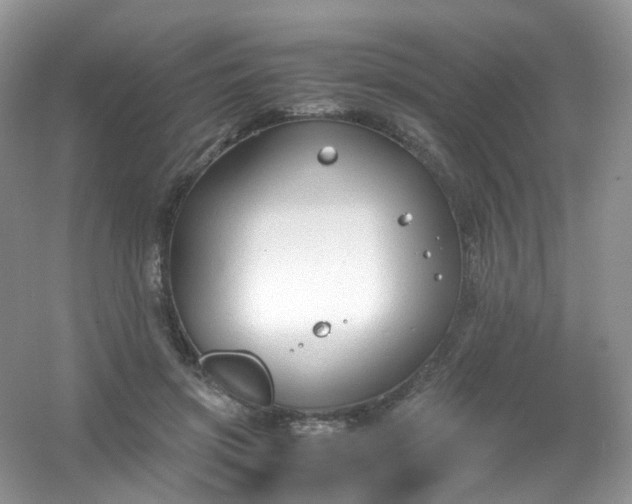 X0000054470549200508122006