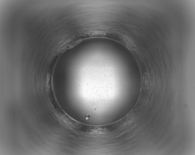 X0000054470550200508122006