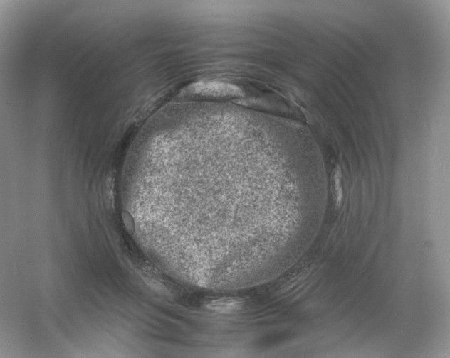 X0000054470551200508122006