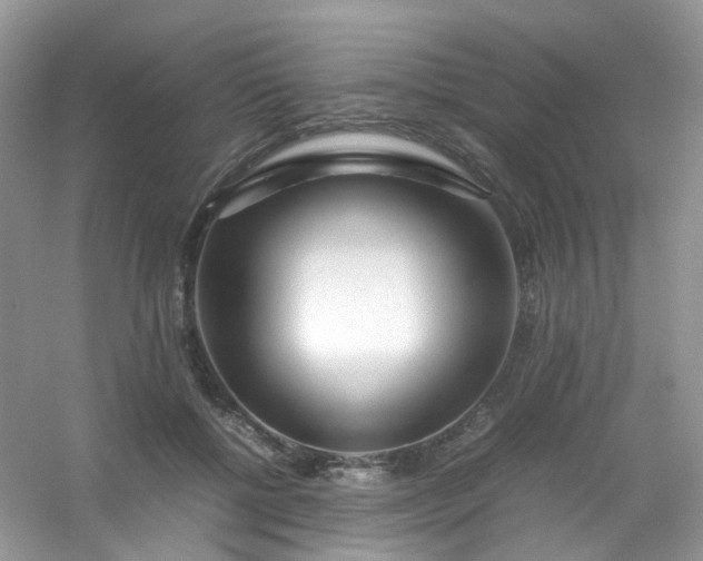 X0000054470552200508122006