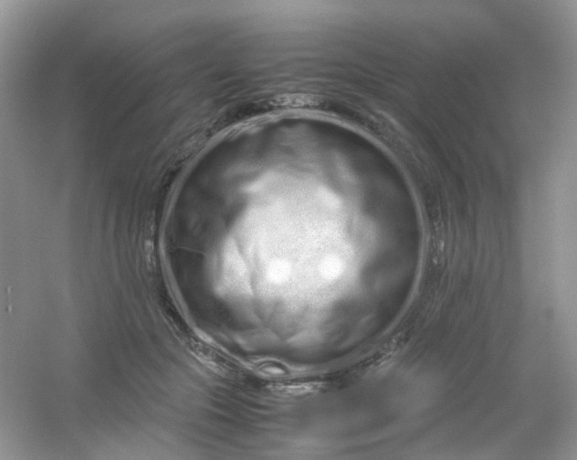 X0000054470553200508122006