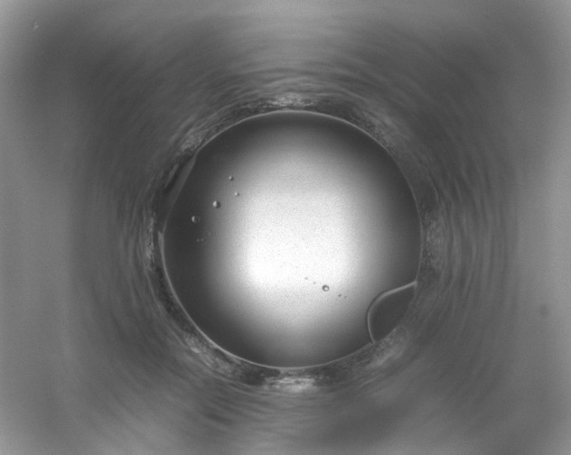 X0000054470554200508122006