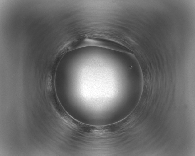 X0000054470556200508122006