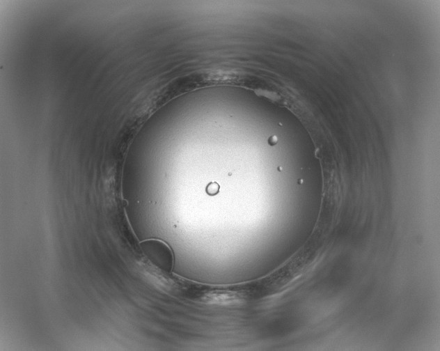 X0000054470557200508122006