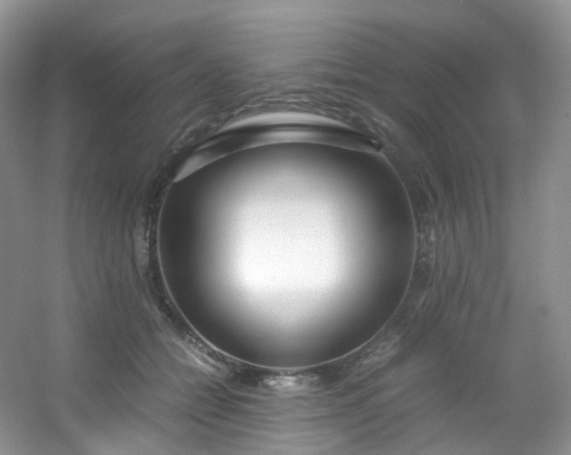 X0000054470558200508122006