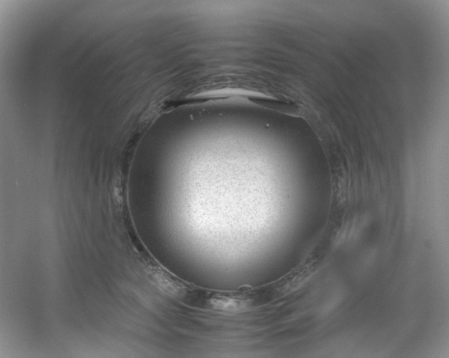 X0000054470561200508122006