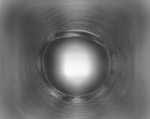 X0000054470562200508122006