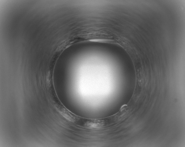 X0000054470563200508122006